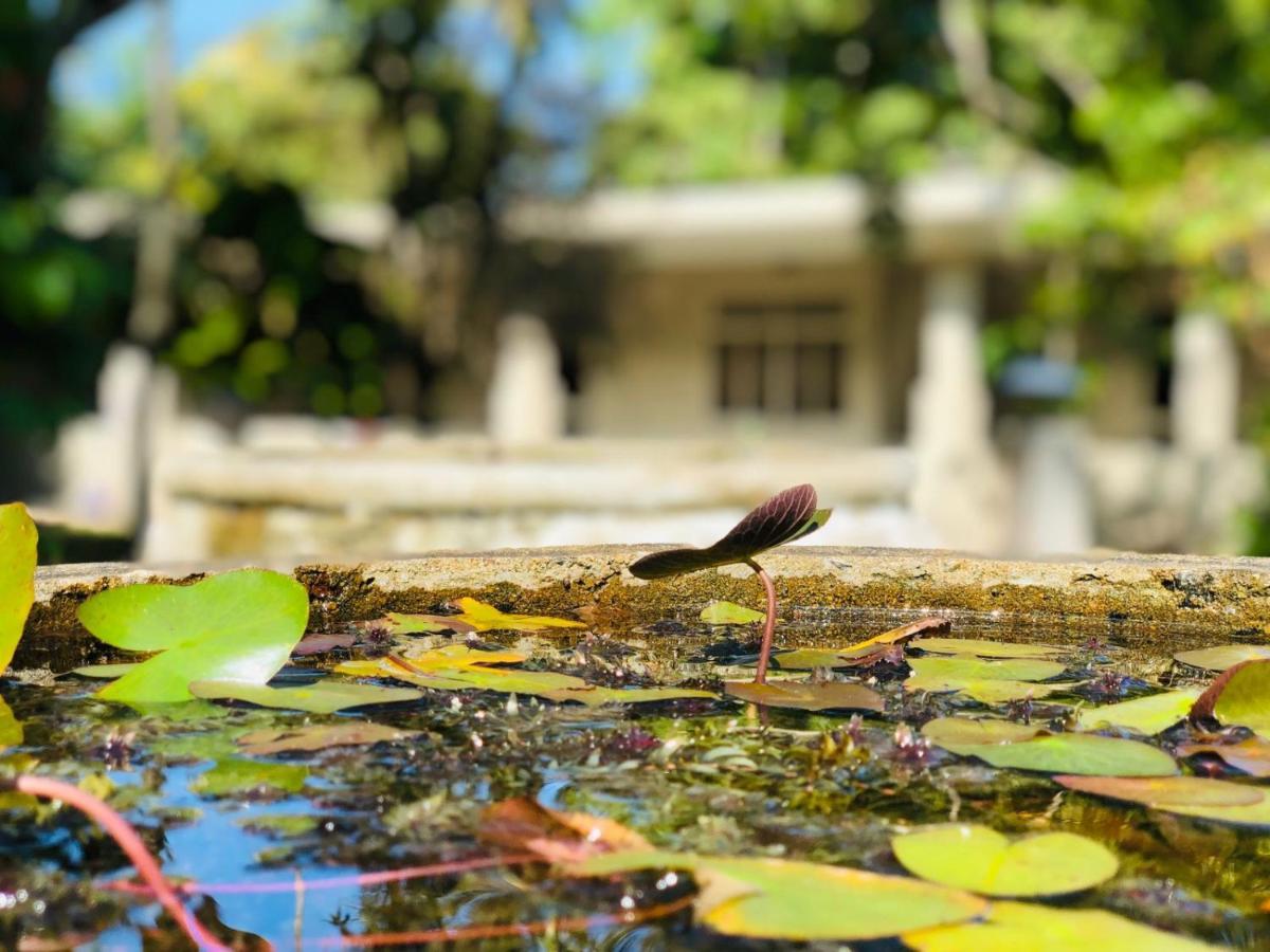 Paradise Garden Берувала Экстерьер фото