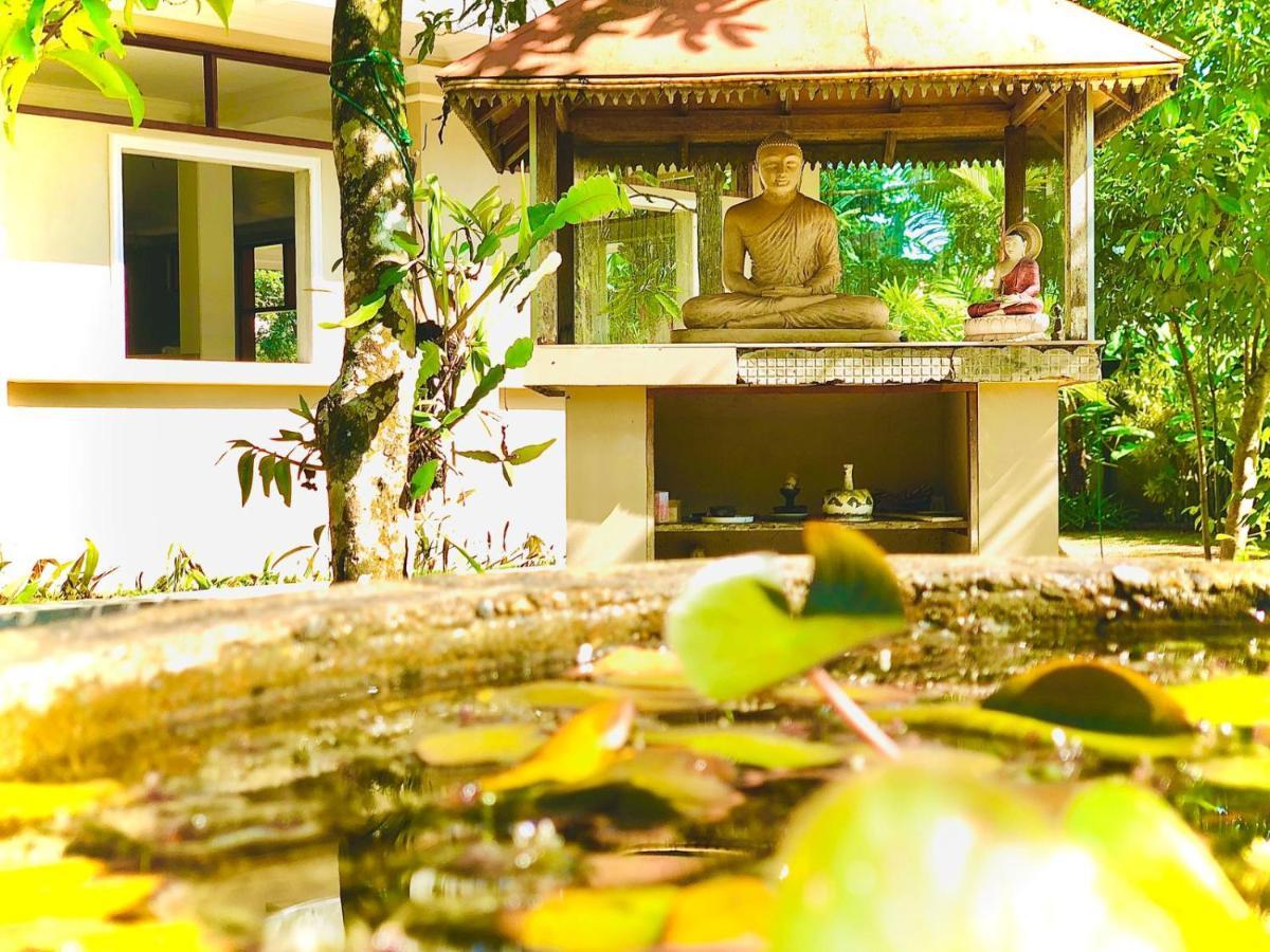 Paradise Garden Берувала Экстерьер фото