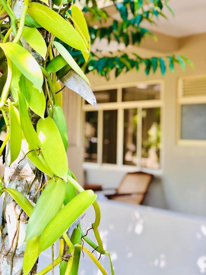 Paradise Garden Берувала Экстерьер фото