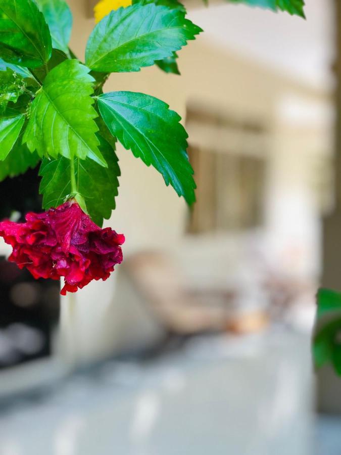Paradise Garden Берувала Экстерьер фото