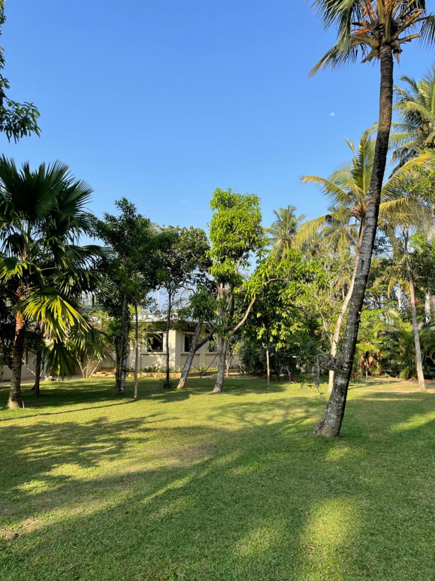 Paradise Garden Берувала Экстерьер фото